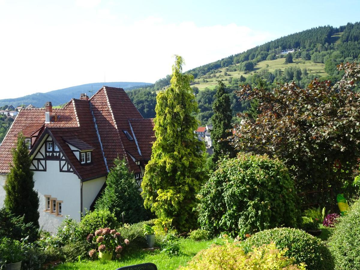 Ferienwohnung Panorama Rauenstein Экстерьер фото