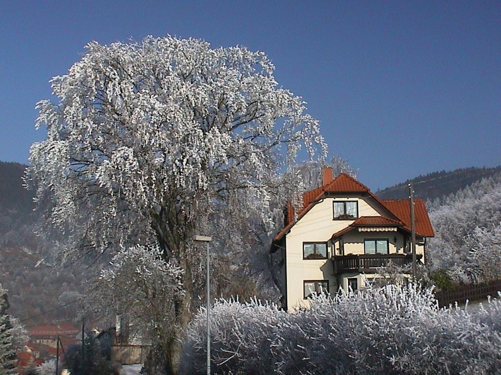 Ferienwohnung Panorama Rauenstein Экстерьер фото