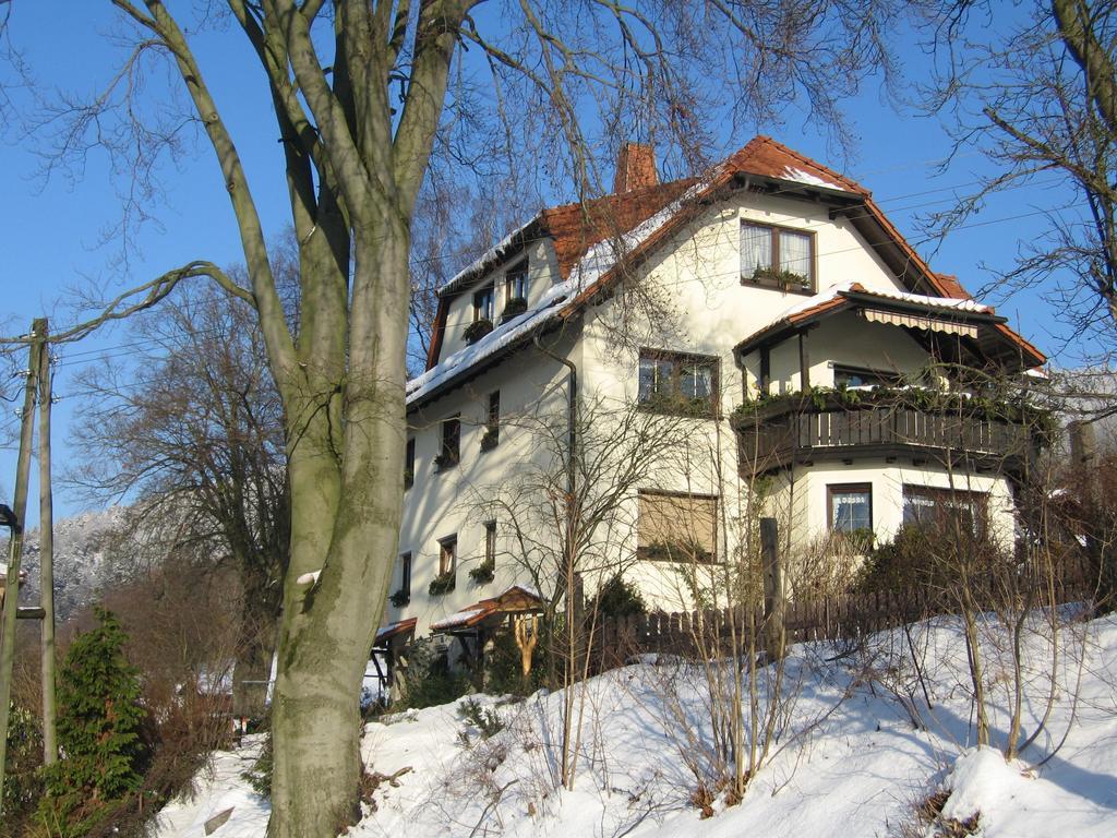 Ferienwohnung Panorama Rauenstein Экстерьер фото