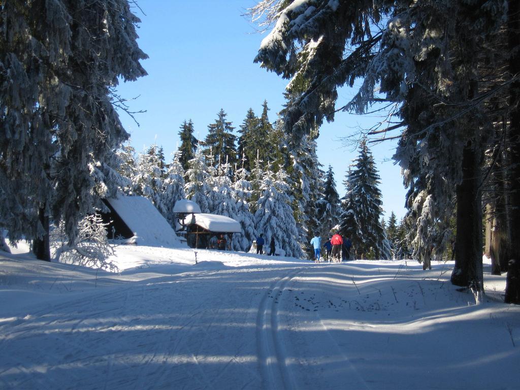 Ferienwohnung Panorama Rauenstein Экстерьер фото