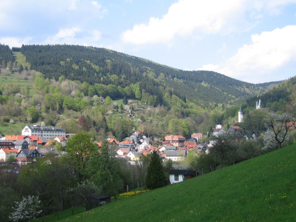 Ferienwohnung Panorama Rauenstein Экстерьер фото