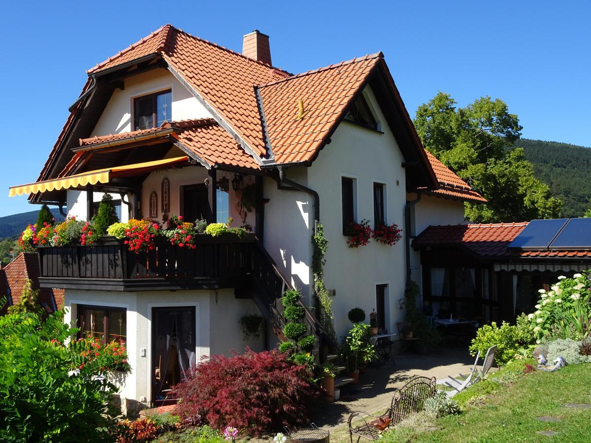 Ferienwohnung Panorama Rauenstein Экстерьер фото