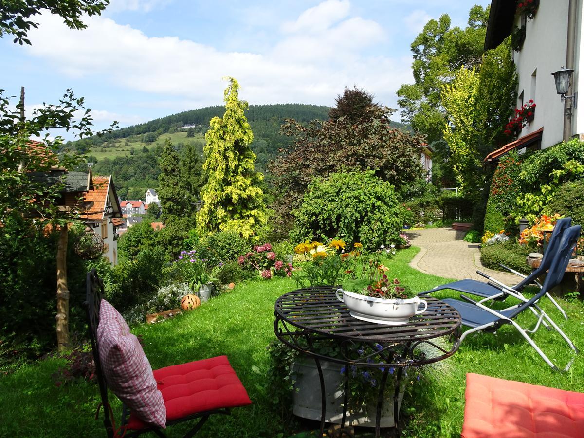 Ferienwohnung Panorama Rauenstein Экстерьер фото
